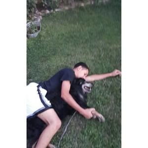 Meet your Posher, German